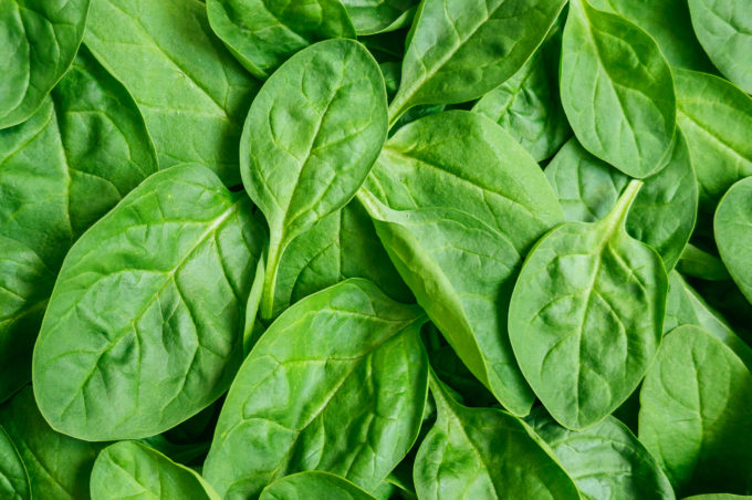Fresh green baby spinach leaves